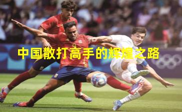 中国散打高手的辉煌之路