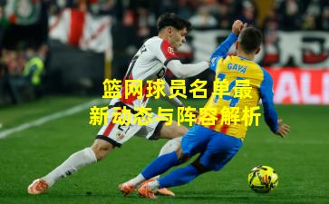 篮网球员名单最新动态与阵容解析